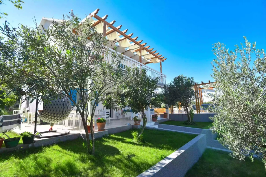 Olive Trees Garden at Villa Klara