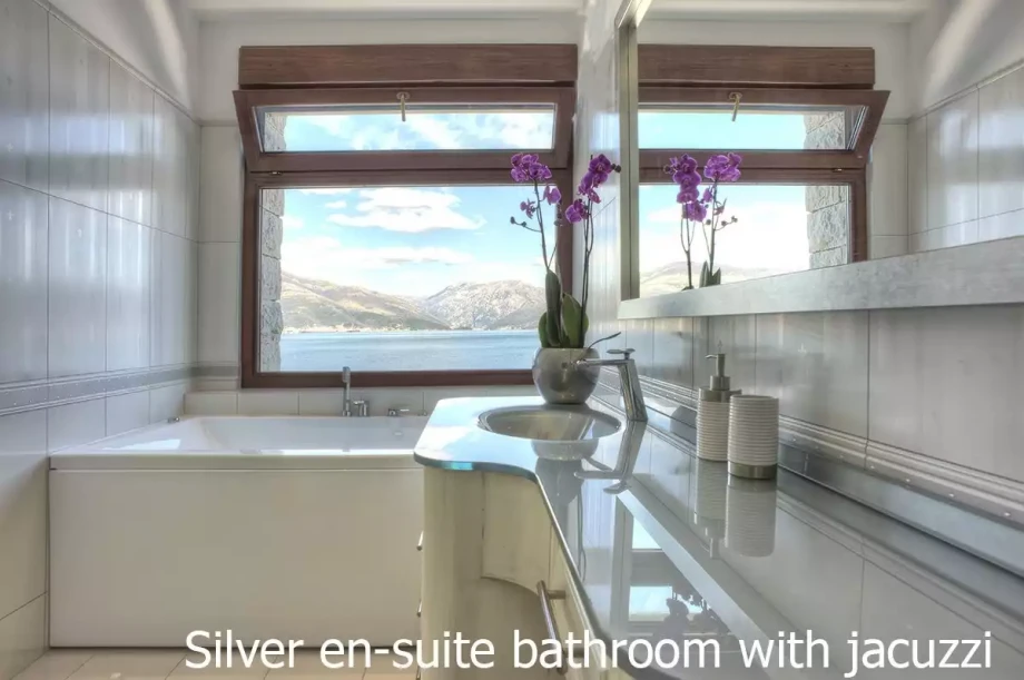 Modern bathroom with sea view