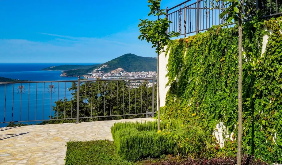 Villa Reef Tree with pool with an amazing view of Budva